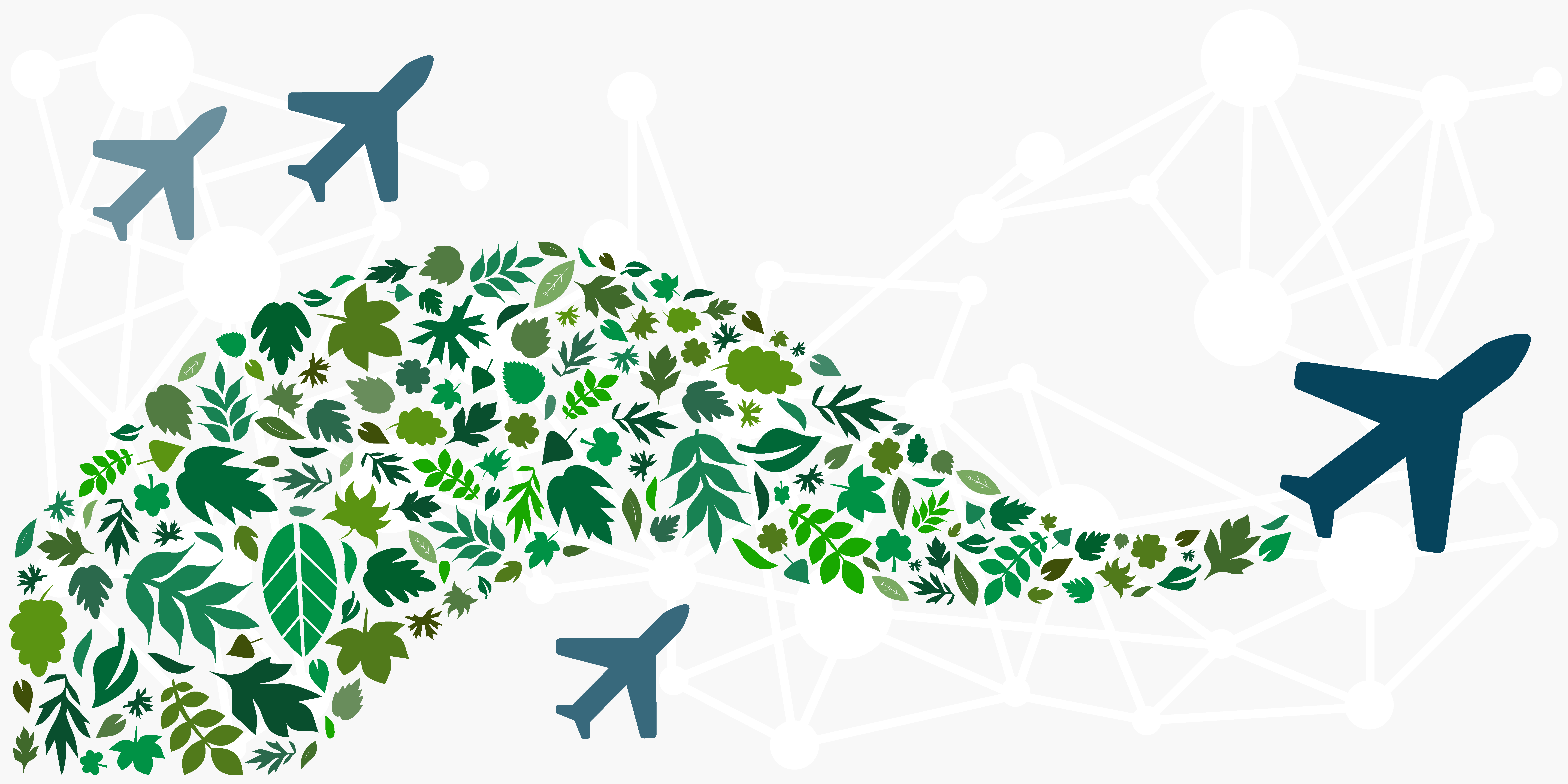 Airplanes decreasing effect on environment