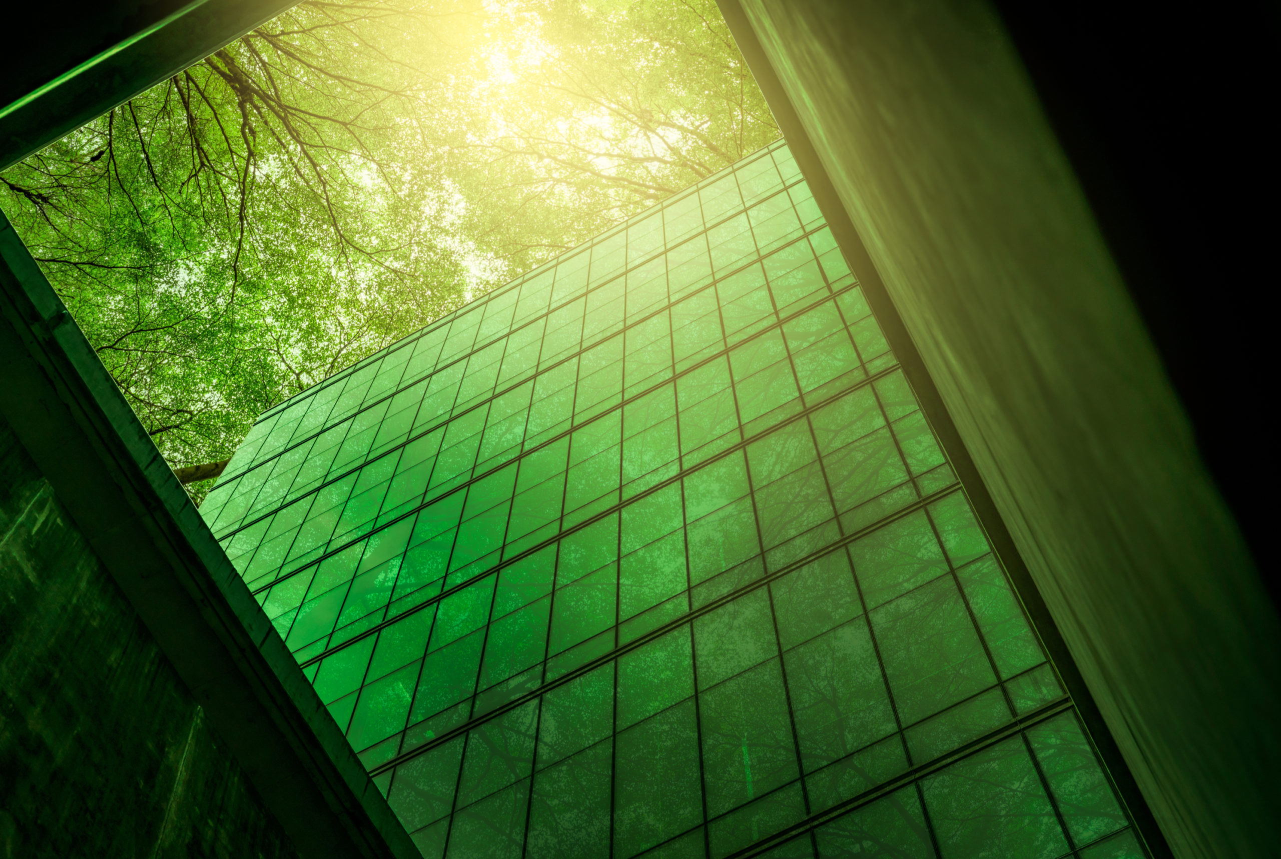 Glass buildings surrounded by trees and sunlight